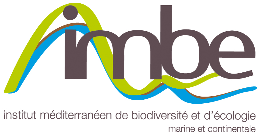 logo imbe_rvb.jpg