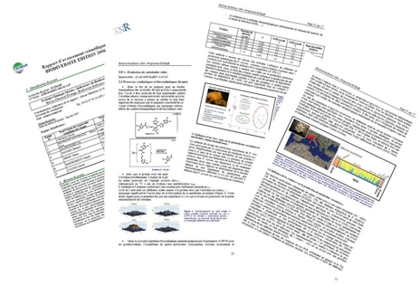 illustration-rapport-s6-s8.jpg