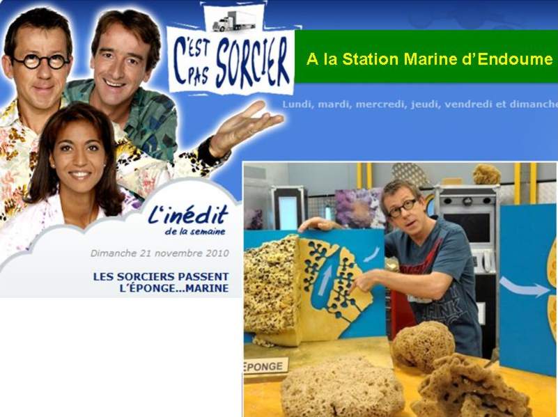 prsentation1.jpg prsentation1.jpg